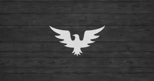 Big Bird With White Head And Black Body Hawk Logo V2 Hawk Logo Geometric Graphic Design Logos