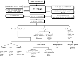 Chemistry And Biochemistry Of Cheese Springerlink