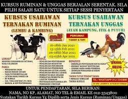 Mencari tempat pelatihan kambing domba tanpa ngarit yang bagus di tahun 2019 ini ? Mj Fatonah Sdn Bhd Home Facebook