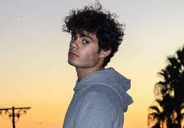 Likewise, he went on to be a member of the pop group forever in your mind (fiym). Emery Kelly Bio Wiki Net Worth Girlfriend Age Height