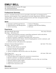 best buy front end leader resume sample