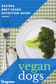 Best Vegan Dog Foods Recipes Reviews 2021 Vegan Dog Vegan Dog Food Healthy Dog Food Recipes
