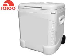 A hinged, split lid creates easy access to the contents without letting all the cold air out. 60 Quart Igloo Rolling Ice Chest Teamsafe Gear Official Online Store