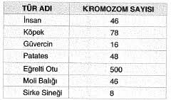 Teog Fen Bilimleri Dna Ve Genetik Kod