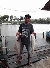 Jika kamu bosan dengan aktivitas memancing yang biasa, mungkin kamu bisa berkunjung ke tempat ini untuk mengikuti lomba yang diadakan dua kali dalam seminggu. Kolam Pancing Acun Home Facebook
