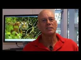Director Of Griffith University S International Centre For Ecotourism Research Professor Ralf Buckley Shoes How The World Tourism Research Professor Ecotourism
