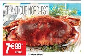 Un achat volumineux, un déménagement ou simplement une voiture, loué chez e.leclerc vous trouvera le véhicule adapté à vos besoins. Offre Tourteau Vivant Chez Hyper U