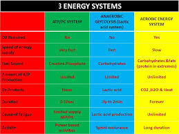 They also prevent protein from being used as an energy source and enable fat metabolism, according to iowa state university. Unit 1 P7 Know The Different Types Of Energy Systems Ppt Download