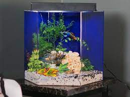We did not find results for: 8 Bentuk Aquarium Hias Yang Populer Dijual Sekarang Ini