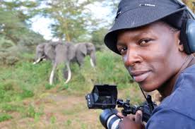 Elephant Ladies of Amboseli