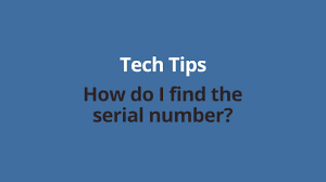 How To Find Your Dragon Software License Number Youtube