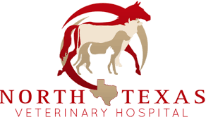Veterinarian In Weatherford Tx North Texas Veterinary Hospital
