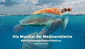 Día Mundial del Medioambiente: Bajo el lema sin contaminación por plásticos | Innovtur