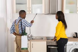 When your house is clean then it is also safe from different germs and pests. Pest Control For Expectant Mothers Updated For 2021 Pests Org