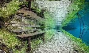 Grüner see (green lake) is a lake in styria, austria in a village named tragöß. Taman Indah Menakjubkan Di Dalam Danau Gruner See Aura Ilmu Com