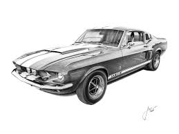 From the moment in 1964 when the cover came off the mustang, ford has always wanted this car to become more like america's sports car. 1967 Ford Shelby Mustang Gt500 Pencil Drawing Limited Etsy Shelby Mustang Art Mustang Gt500 Mustang Shelby