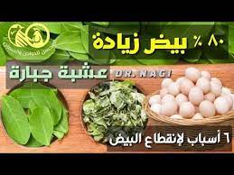 pin on تربية الدجاج
