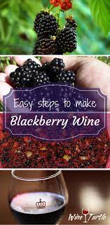 A simple recipe for making blackberry wine. Delicious Homemade Blackberry Wine In 4 Easy Steps Blackberry Wine Wine Recipes Homemade Wine Recipes
