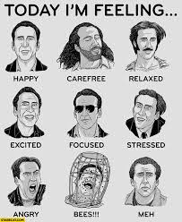 Nicolas cage has expressed his frustration with cage rage internet memes, saying they are frustrating and unfair to him and the directors of his films. Today I M Feeling Nicolas Cage Faces Expressions Happy Carefree Relaxed Excited Focused Stressed Angry Bees Meh Starecat Com