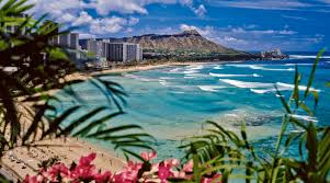 Erstellen sie eine benachrichtigung und teilen sie ihre favoriten! Aloha Hawaii So War Mein Surf Sabbatical Auf Oahu Und Big Island