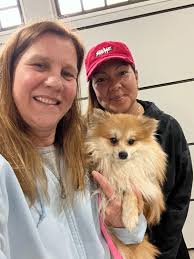 Thank you to whoever brought our lost dog to the police station