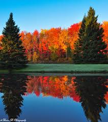 There is currently no additional information available regarding centennial park. Autumn Symmetry By Brian B Photography Via 500px Centennial Park Moncton New Brunswick Canada Beautiful Landscapes Moncton Autumn Scenes