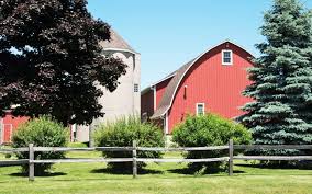 28 split rail fence ideas for acreages and private homes a tall rustic split rail fence with a light coating of soft green moss growing over the ragged limbs. Split Rail Fence The Fun Stuff Rocky Mountain Forest Products