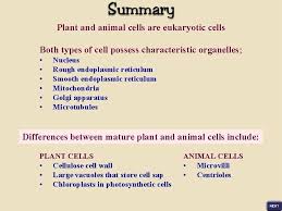 We did not find results for: Sser Ltd Plant Cells Like Animal Cells Possess