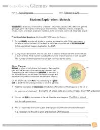 Worksheets are section 102 cell division, cell structure exploration activities, cell energy cycle gizmo answer questions ebooks pdf, amoeba sisters recap of meiosis answer key. Meiosis Gizmo Student Worksheet Day 2