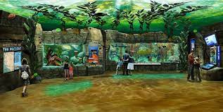 Christopher Barela Concept Art Zoo Architecture City Zoo Zoo Project