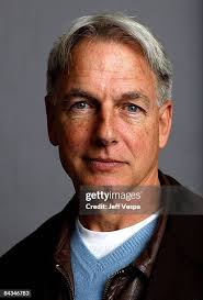 1,105 Harmon Park Stock Photos, High-Res Pictures, and Images