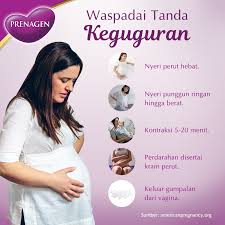 Meski bukan termasuk hal yang menyenangkan, tetapi nyatanya satu dari 6 wanita di seluruh dunia mengalami keguguran. Prenagen World Sudah Pasti Setiap Calon Ibu Facebook