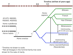 The Dawn Of Homo Sapiens Our Family Tree Grows Messier