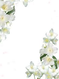Transparent White Photo Frame With White Flowers White Photo Frames Flower Frame White Roses Background