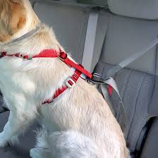 enhanced strength tru fit dog car harness