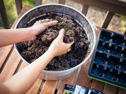 Shop the homebase garden range h. The Beginner S No Fail Guide To Starting Seeds Indoors Garden Betty