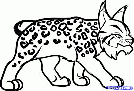 1) if you have javascript enabled you can click the print link in the top half of the page and it will automatically print the coloring page only and ignore the advertising and navigation at the top of the page. Lynx Animals Printable Coloring Pages