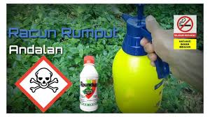 Racun rumput sebenarnya racun untuk tanaman selain rumput juga atau biasa disebut dengan herbisida. Cara Pakai Racun Rumput Herbisida Roundup Alat Semprot Untuk Tanaman By Petani Aspal
