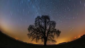 Mit lyriden sternschnuppen am 22. Astro Ausblick So Genial Wird Der Sternenhimmel Im Jahr 2021 The Weather Channel Artikel Von The Weather Channel Weather Com
