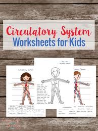 Free Circulatory System Worksheets For Kids Homeschool Giveaways Circulatory System Activities Circulatory System Circulatory System For Kids