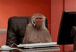 Check spelling or type a new query. Discover Share This Work Gif With Everyone You Know Giphy Is How You Search Share Discover And Create Gifs Monkeys Funny Monkey Types Frozen Funny