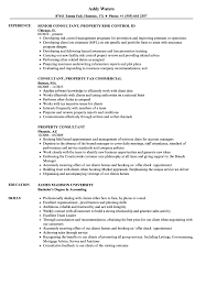 Real estate consultant ii resume. Property Consultant Resume Samples Velvet Jobs