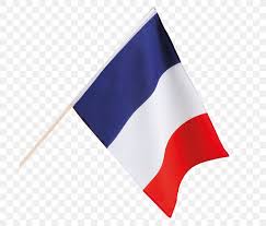 The france flag is officially known as the le drapeau tricolore or the french tricolor. Flag Of France Flag Of France National Flag French Png 700x700px France Diary Fanion Flag Flag