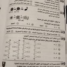 We did not find results for: ØªØ¯Ø§ÙˆÙ„ ØµÙˆØ± Ø§Ù…ØªØ­Ø§Ù† Ø§Ù„Ø£Ø­ÙŠØ§Ø¡ Ù„Ù„Ø«Ø§Ù†ÙˆÙŠØ© Ø§Ù„Ø¹Ø§Ù…Ø© 2021 Ø¬Ø±ÙŠØ¯Ø© Ø§Ù„Ù…Ø§Ù„
