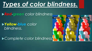 What are the different types of color blindness? Color Blindness Prezentaciya Onlajn
