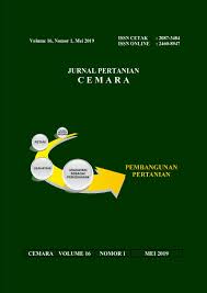 Baik faktor dari luar maupun dari tanaman kelapa sawit itu sendiri. Faktor Faktor Yang Mempengaruhi Produktivitas Tenaga Kerja Panen Kelapa Sawit Di Pt Perkebunan Nusantara Vi Unit Usaha Rimbo Satu Rimsa Jurnal Pertanian Cemara
