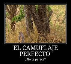 Otro Desafio A Tu Agudeza Visual Elclubdelingenio Com Ar Acertijos Mentales Ilusiones Agudeza Visual