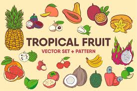 Tropical Fruits Vector Set Pattern Fruits Object Vector Illustration Set Patterns Fruit Vector Illustration