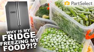 Is the ice maker turned items placed directly in the air flow from the freezer compartment to the refrigerator compartment may freeze. Refrigerator Troubleshooting Why Is My Refrigerator Freezing My Food Partselect Com Youtube
