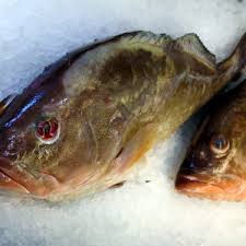 We did not find results for: Seafood Weiland S Market